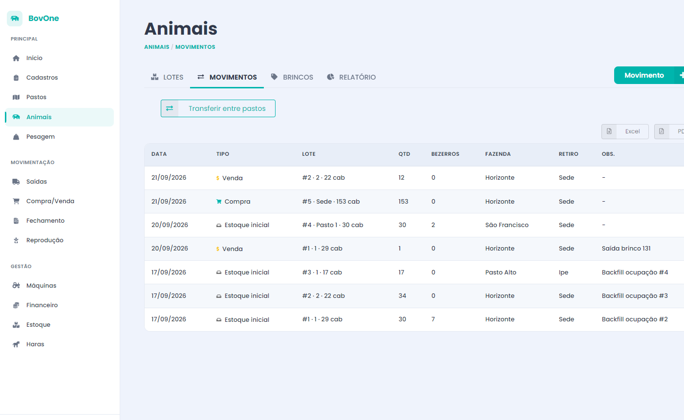 Relatório de estoque do rebanho separado por categoria, com lotes e quantidade de animais.